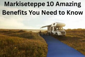 Markiseteppe 10 Amazing Benefits You Need to Know