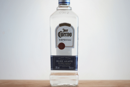 A Comprehensive Guide to Camdin Cuervo: What You Need to Know