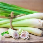 Lemongrass: The Fragrant Herb at the Heart of Thai Cuisine and Traditional Healing