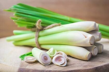 Lemongrass: The Fragrant Herb at the Heart of Thai Cuisine and Traditional Healing