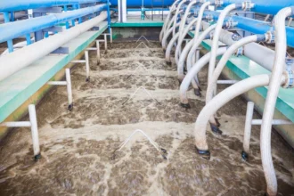 Bacteria Clean Wastewater Naturally