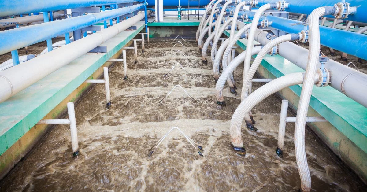 Bacteria Clean Wastewater Naturally