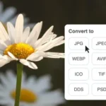 How to Convert PNG to High-Quality JPG Instantly Online