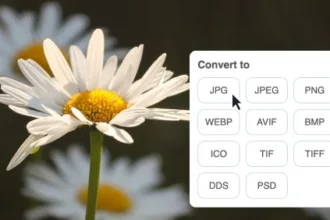 How to Convert PNG to High-Quality JPG Instantly Online