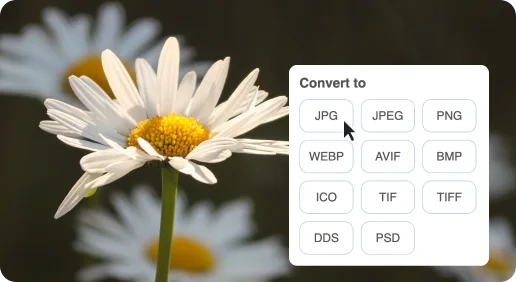 How to Convert PNG to High-Quality JPG Instantly Online