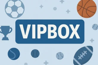 The Comprehensive Guide to viobox