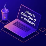 what is 493xds5.0 in software