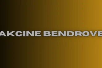Akcine Bendrove: Lithuania’s Public Company Structure with €40,000 Capital Requirement
