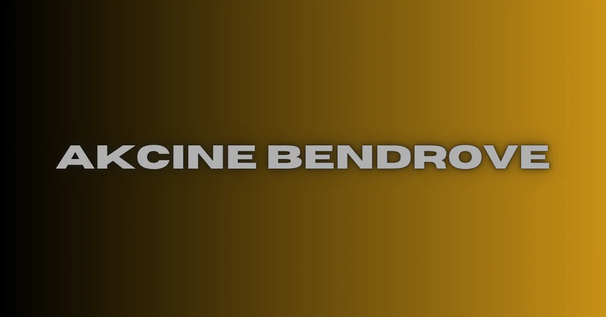 Akcine Bendrove: Lithuania’s Public Company Structure with €40,000 Capital Requirement