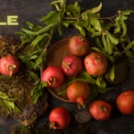 The Žižole Fruit: Nature’s Small Wonder with a Rich Past