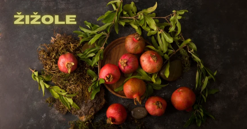The Žižole Fruit: Nature’s Small Wonder with a Rich Past