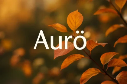The Comprehensive Guide to aurö