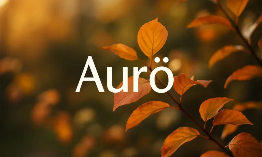 The Comprehensive Guide to aurö
