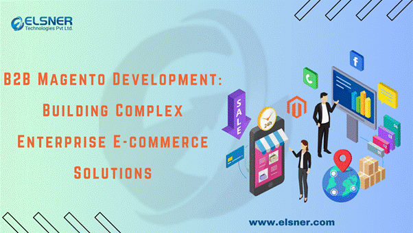 B2B Magento Development: Building Complex Enterprise E-commerce Solutions