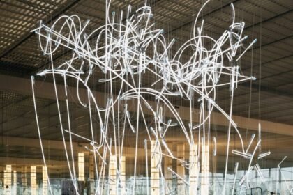 Understanding Transphotonen: Breaking Down the Basics