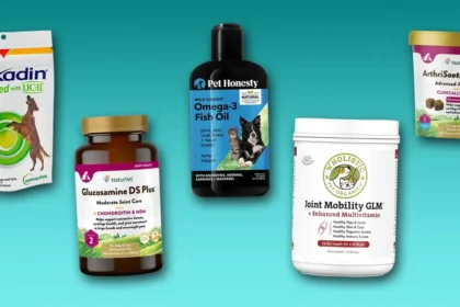 Glucosamine