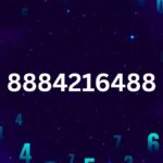 8884216488 Explained: Meaning, Applications & Tips