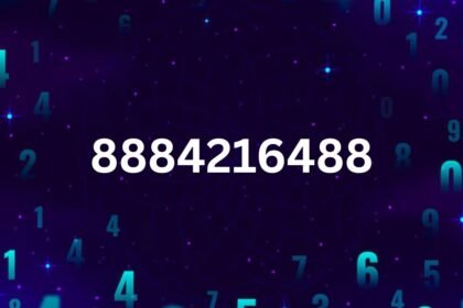 8884216488 Explained: Meaning, Applications & Tips