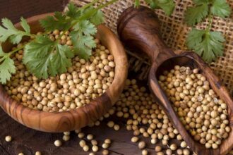 What Are the Health Benefits of Koriandri?