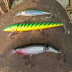 The Comprehensive Guide to jerkbait