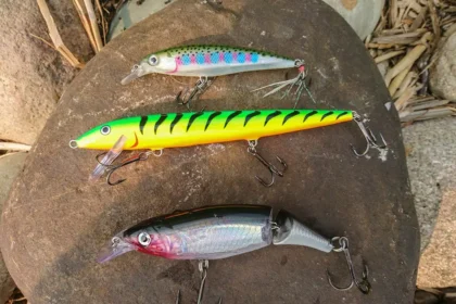 The Comprehensive Guide to jerkbait