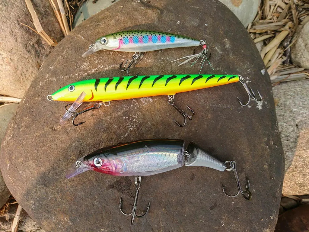 The Comprehensive Guide to jerkbait