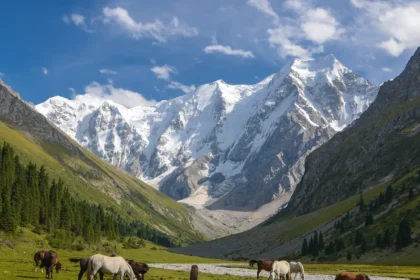 The Best Places to Visit in September, From Sonoma County to Kyrgyzstan