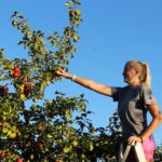 5 Must-Visit Cleveland Apple Picking Orchards