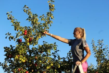5 Must-Visit Cleveland Apple Picking Orchards