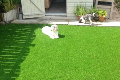Fake Grass For Dogs