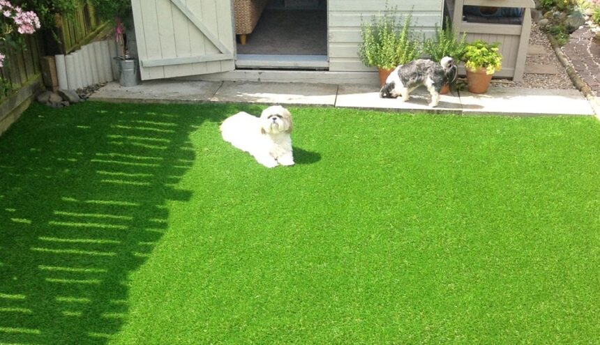 Fake Grass For Dogs