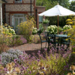 A Guide to Incorporating Margerelle in Your Garden