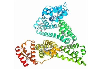 Understanding Albumīns: The Essential Proteins for Our Health