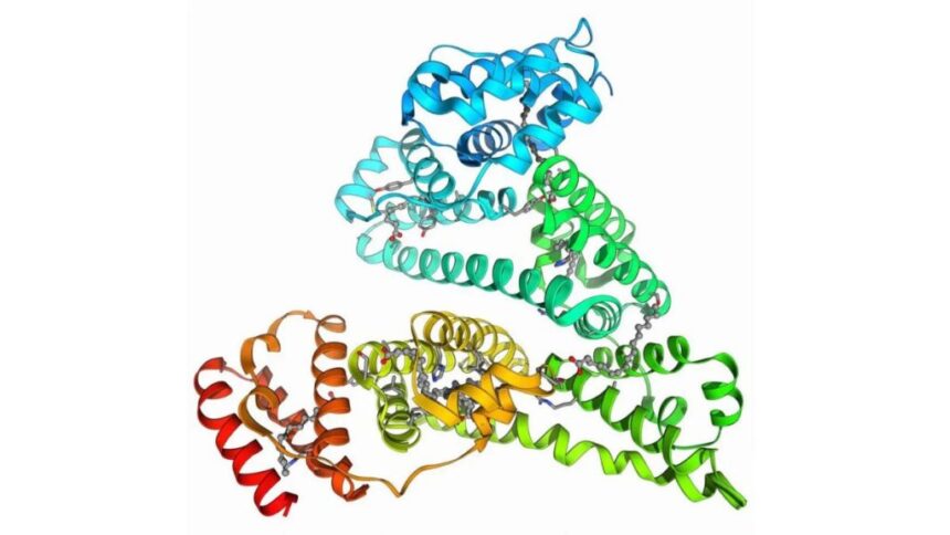 Understanding Albumīns: The Essential Proteins for Our Health