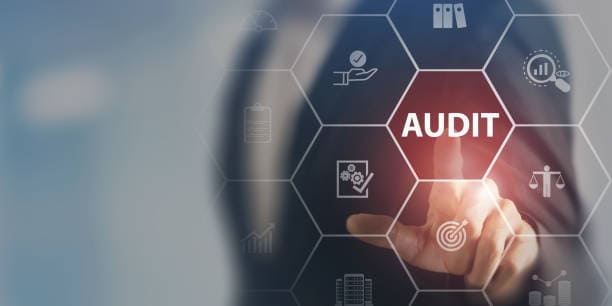 Jogy George’s FDA Audits