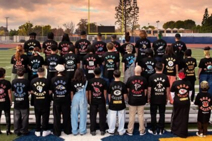 Colorimeter Distributor: Complete Guide for Buyers and Businesses