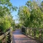 The Oakland Nature Preserve