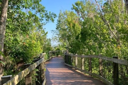 The Oakland Nature Preserve
