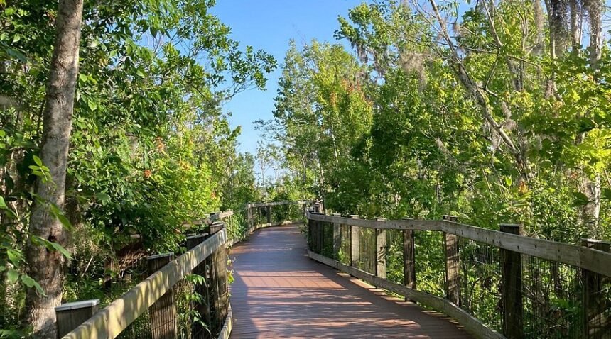 The Oakland Nature Preserve