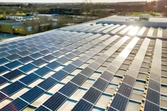 Powering the Future: Everything You Need to Know About Choosing a Solar Company