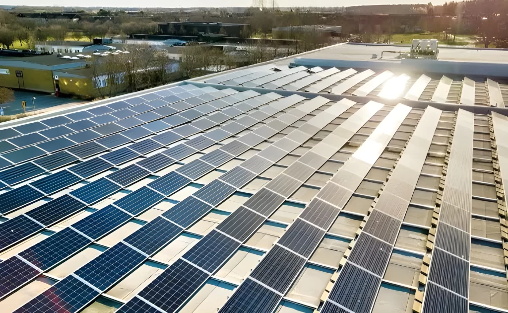 Powering the Future: Everything You Need to Know About Choosing a Solar Company