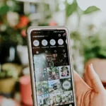 The Aesthetic Culture: Why Everyone Wants a Perfect Feed