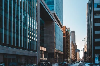 The Comprehensive Guide to jilicitycityjili com