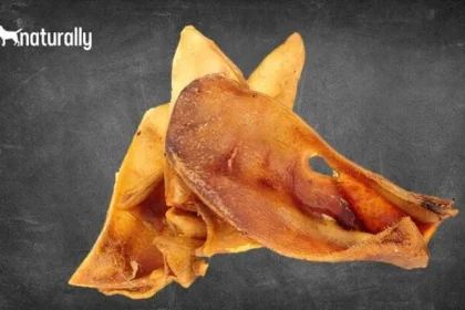 are pig ears good for dogs