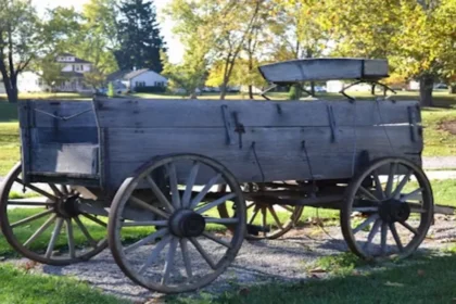 How Do Afruimwagens Compare to Other Vehicles?