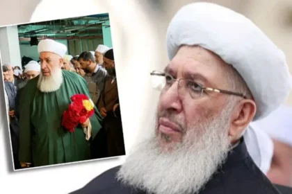 The Comprehensive Guide to gavs