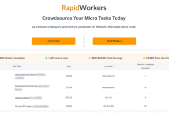 Rapidworkers Review: Uncover the Best Micro Jobs Website
