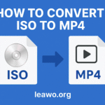 Convert ISO to MP4