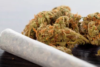 Everything You Need to Know About the brown weed