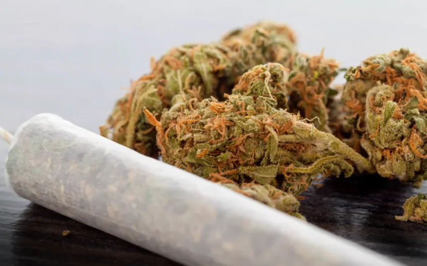 Everything You Need to Know About the brown weed